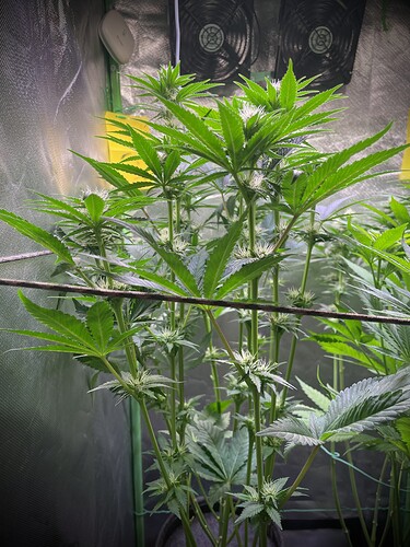 Growreport Bild 15