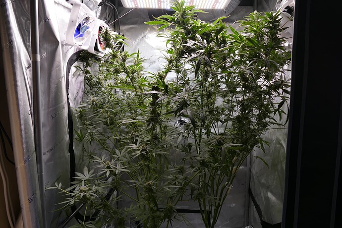 Growreport Bild 1