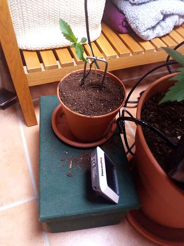 Compress_20240526_213716_6293