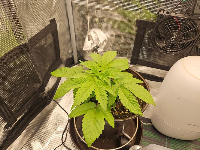 Growreport Bild 20