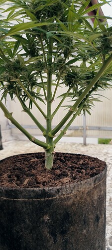Growreport Bild 26