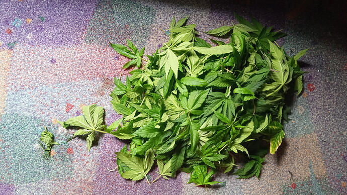 Growreport Bild 7