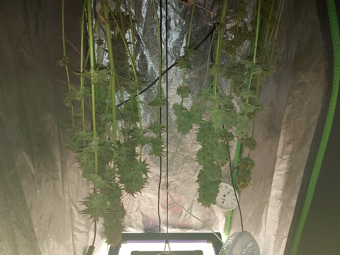 Growreport Bild 16
