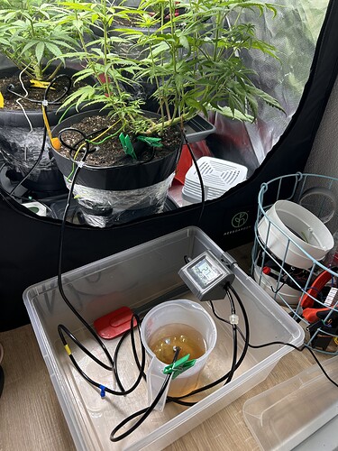Growreport Bild 6