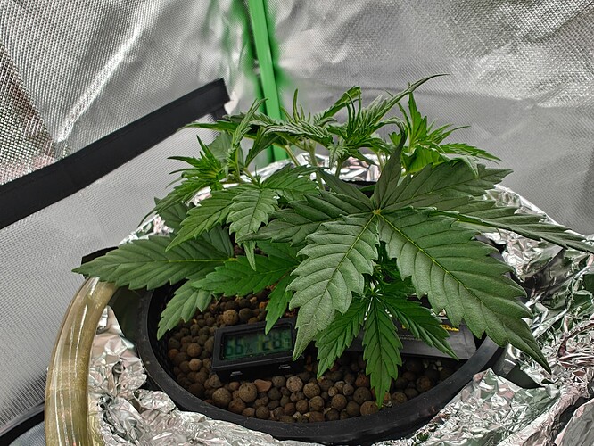 Growreport Bild 11