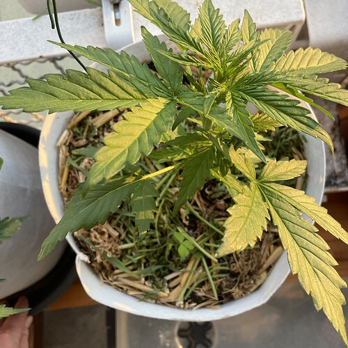 Growreport Bild 13
