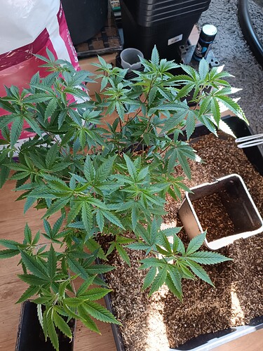 Growreport Bild 10