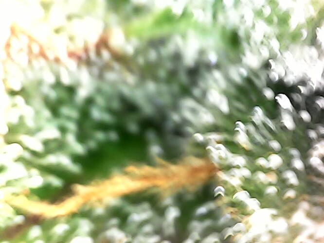 Photo_2024-04-21 11_37_18_520