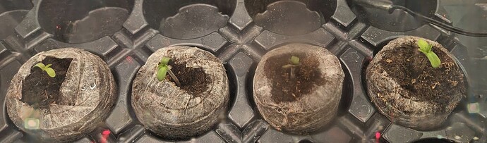 20241105_181439
