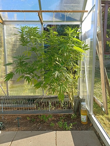 Growreport Bild 2