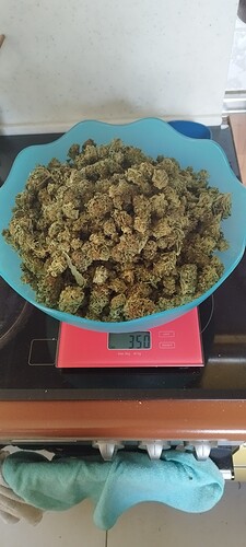 Growreport Bild 5