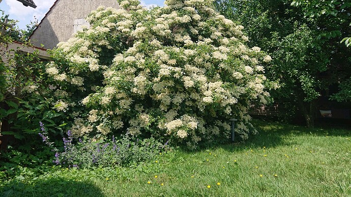 Growreport Bild 24