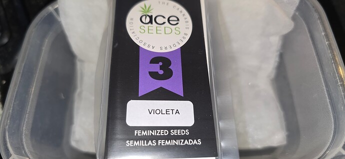Growreport Bild 34