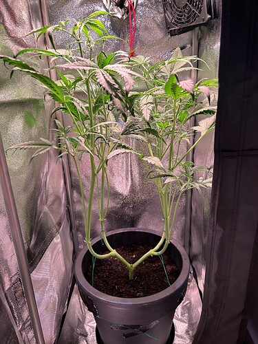 Growreport Bild 8