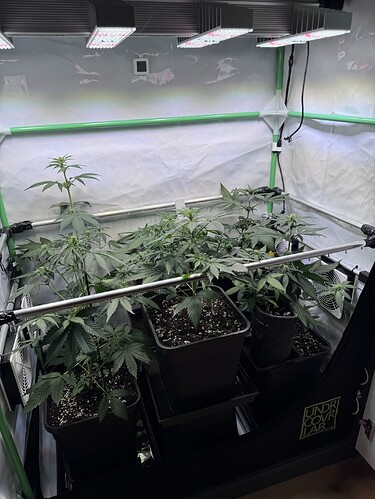Growreport Bild 26