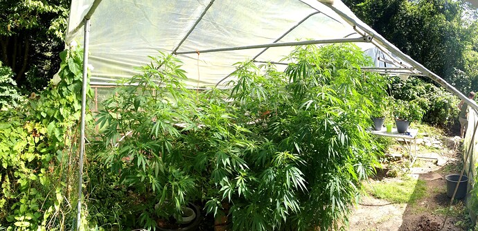 Growreport Bild 5