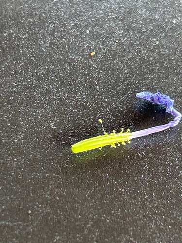 Growreport Bild 62