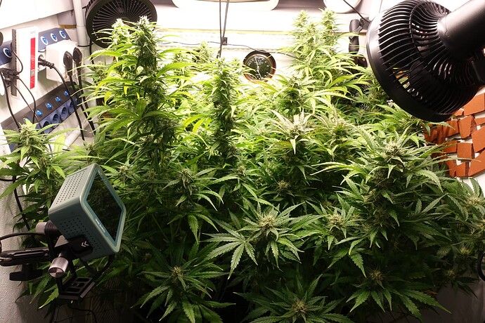 Growreport Bild 1