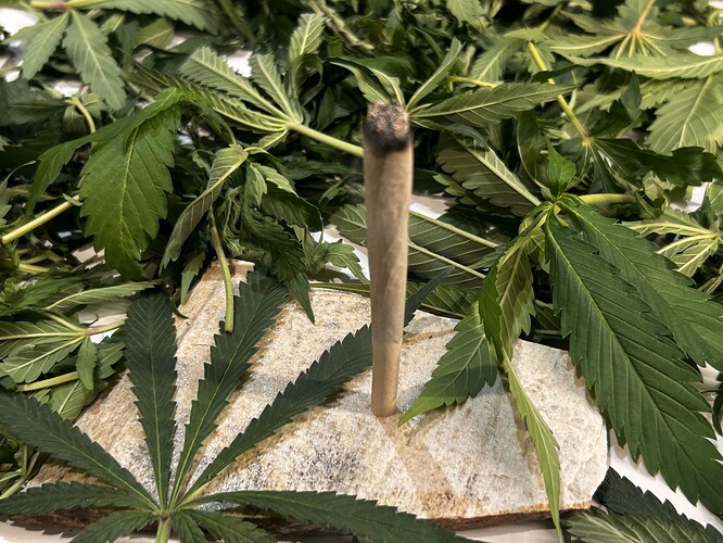 Growreport Bild 124