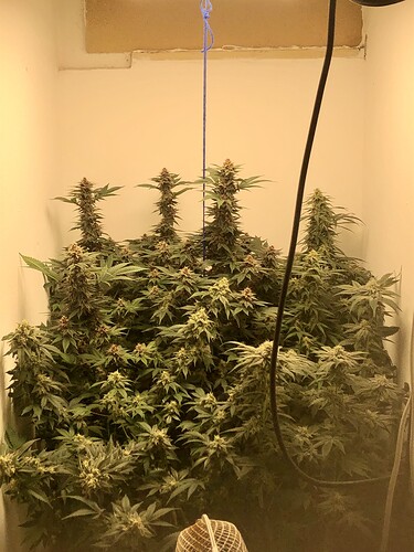 Growreport Bild 2