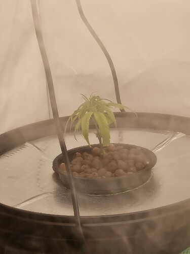 Growreport Bild 43