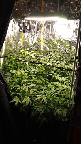 Growreport Bild 14