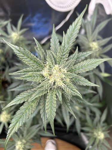 Growreport Bild 9