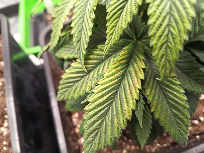 IMG_20240429_100615_146