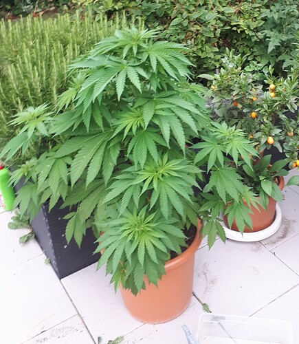 InShot_20240508_144625689