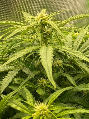 WhatsApp Bild 2024-05-04 um 10.14.24_fb4ce936