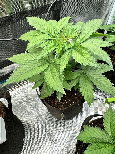 WhatsApp Image 2024-04-14 at 19.56.04 (1)