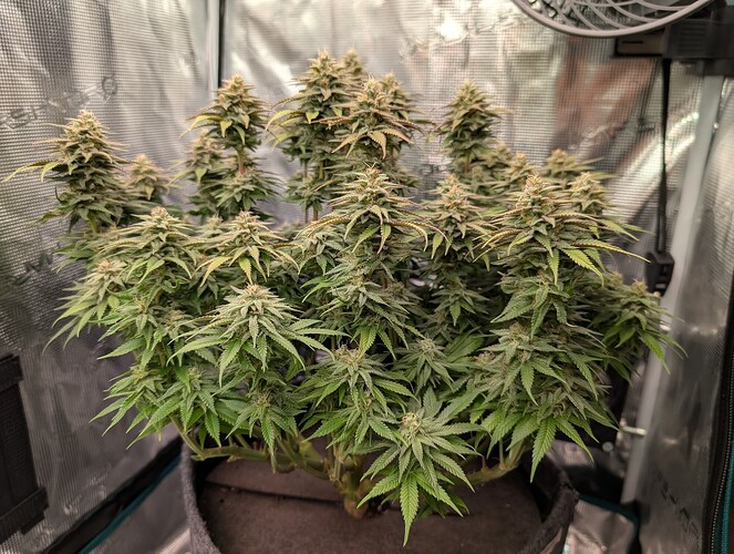 Growreport Bild 11