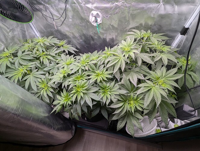 Growreport Bild 1