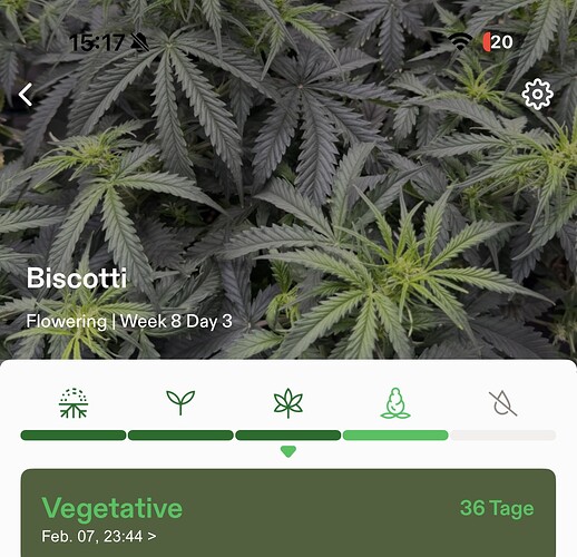 Growreport Bild 15