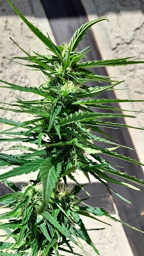 Growreport Bild 23
