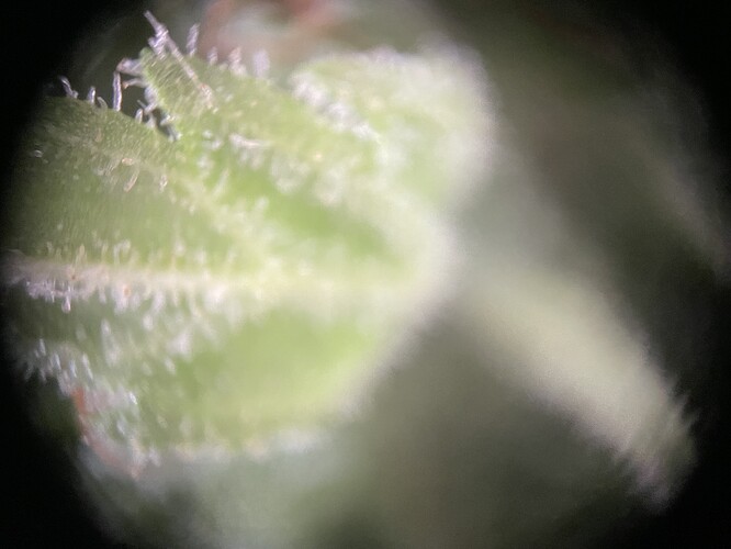 Growreport Bild 13
