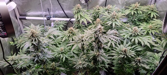 Growreport Bild 23