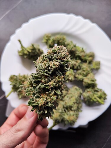 Growreport Bild 1
