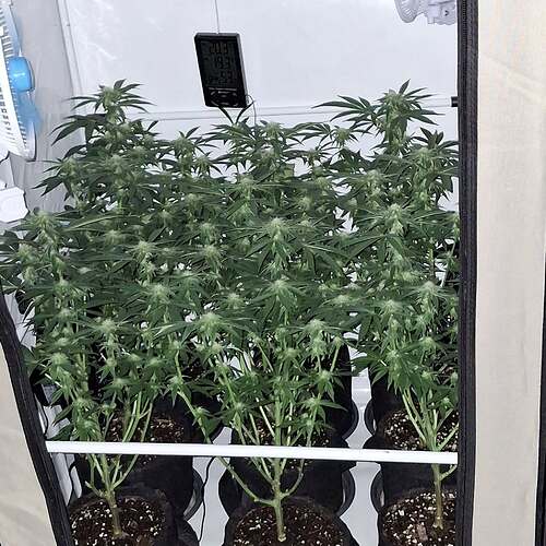 473728522_122164986146293599_6653305071729165239_n