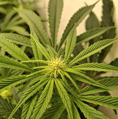 Growreport Bild 18