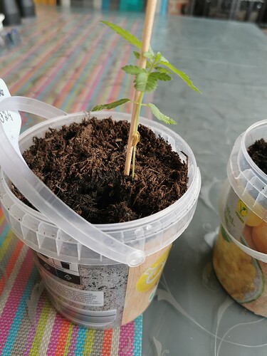 Growreport Bild 7