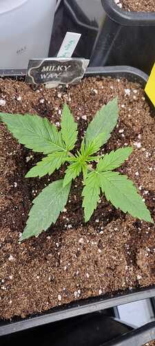 WhatsApp Image 2025-11-28 at 22.49.58 (1)