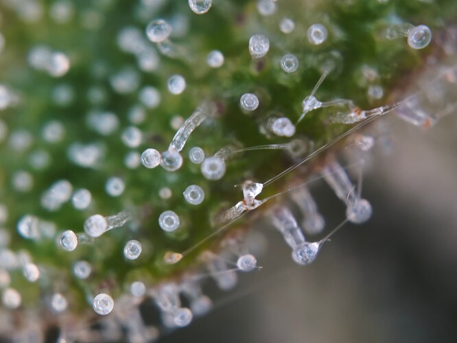 MVIMG_20251126_181804