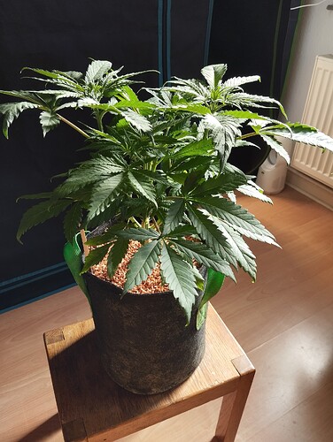 Growreport Bild 14