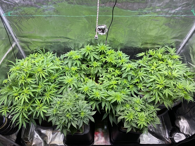 Growreport Bild 90