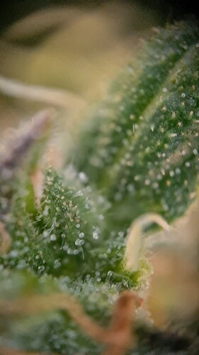 VideoCapture_20240618-174428