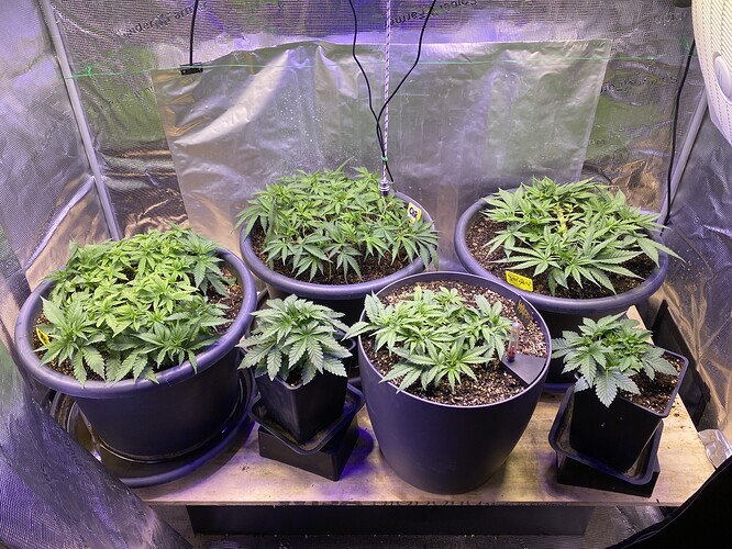 Growreport Bild 8