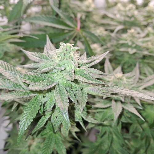 476363722_122167310054293599_3936136897827521495_n