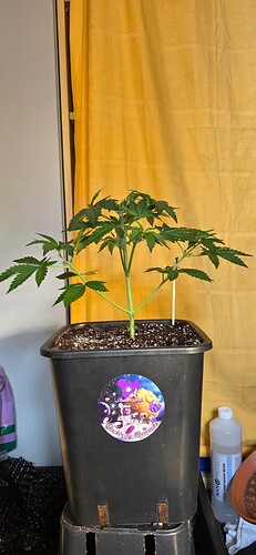 Growreport Bild 15