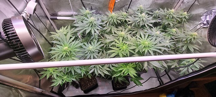 Growreport Bild 9